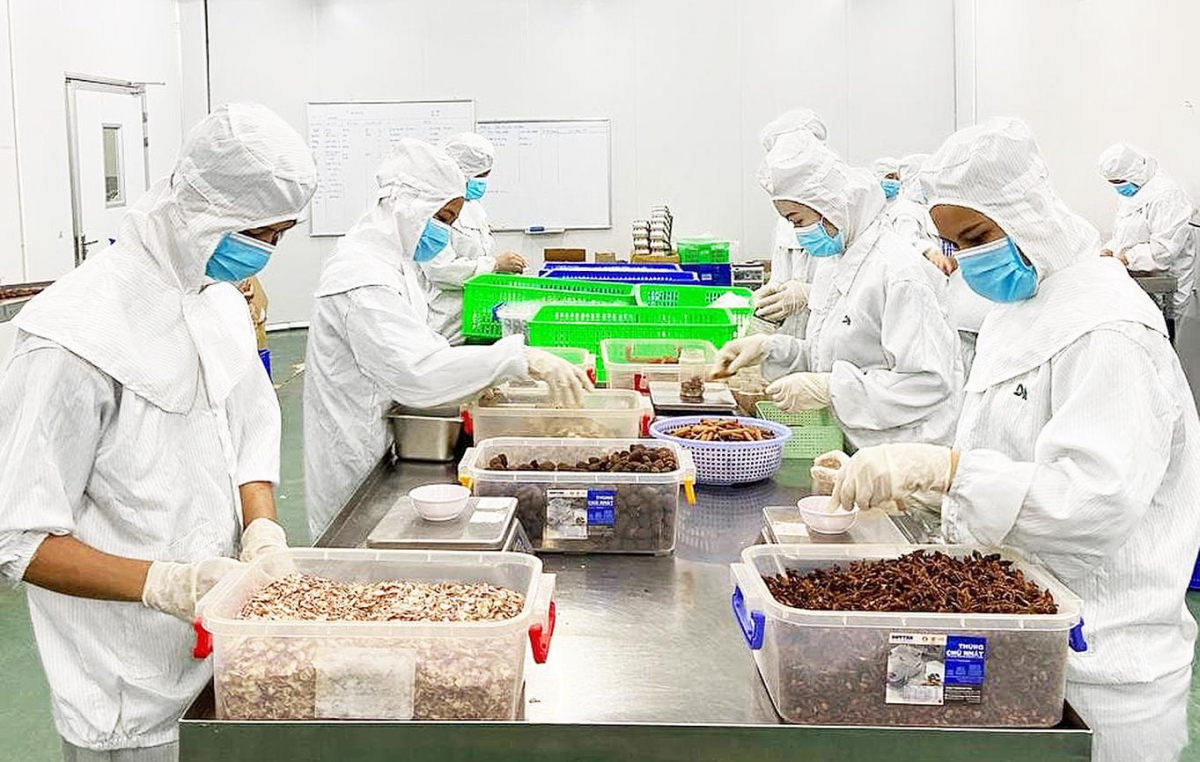 Businesses close the sale for export orders in face of shrinking market